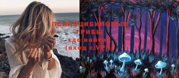 прущая мука Каменка